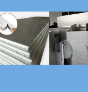 Ductal System